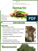 Tamarindus Indica