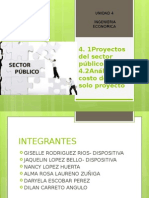 Proyectos Del Sector Público EXPO FINAL