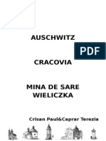 brosura cracovia-auscwitz editata