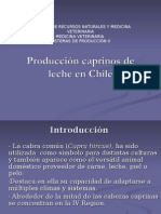 Producción Cabras de Leche en Chile