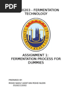 Fermenting for dummies