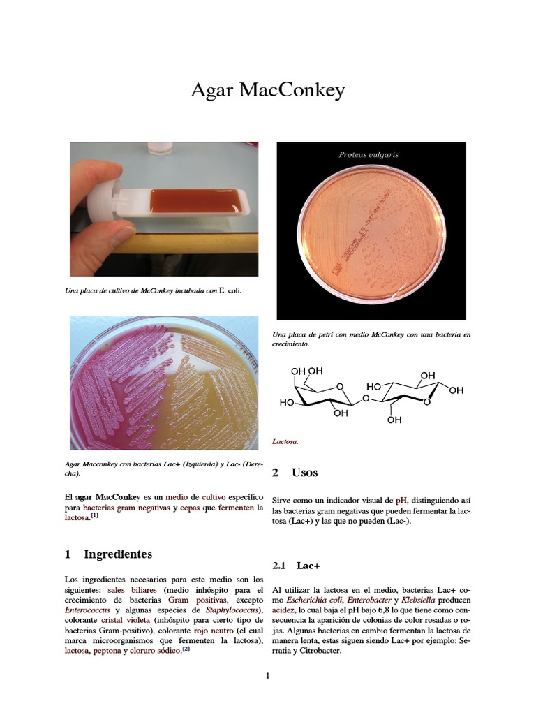 Agar MacConkey Ciencias de la tierra y de la vida