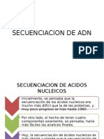 Secuencia4y243y246cion de Adn - Biologia Molecular