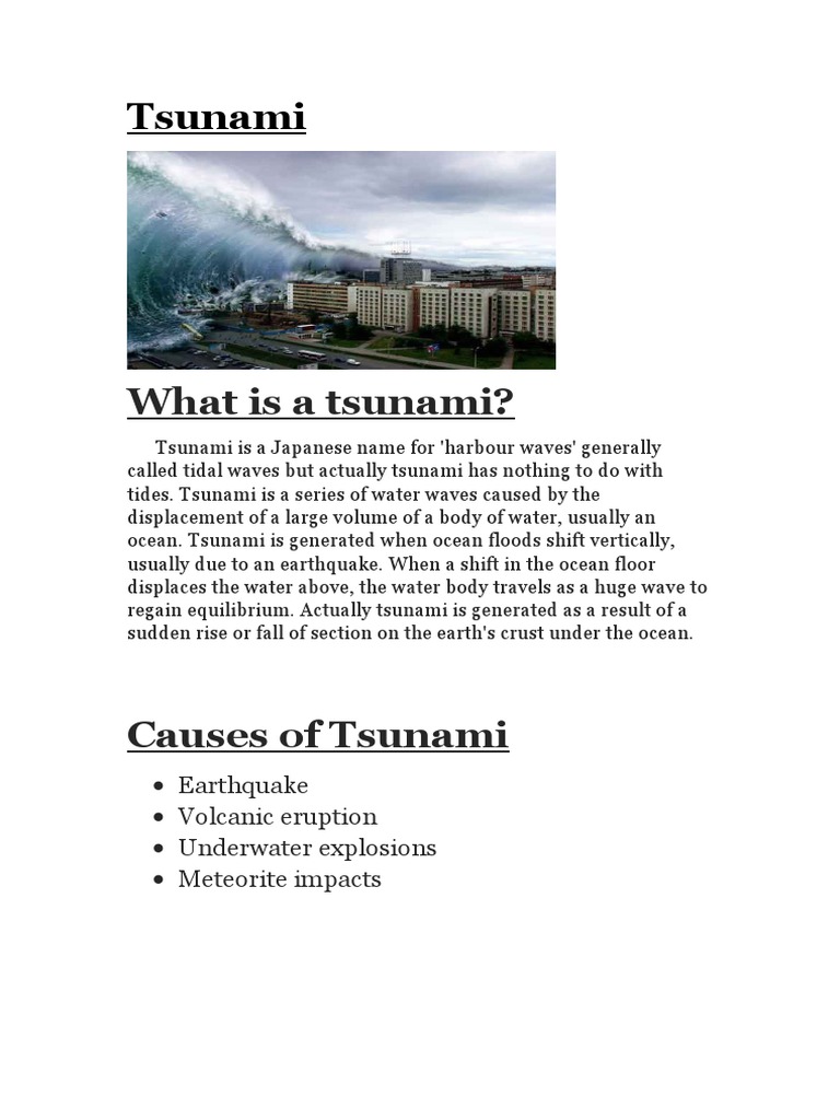 essay on tsunami 200 words