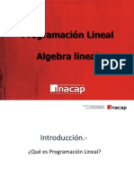 110105553-Programacion-Lineal.pdf