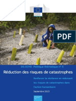 Reduction Des Catastrophes PDF