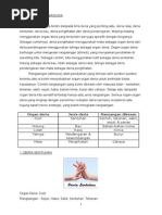 Folio Lima Deria Pada Manusia