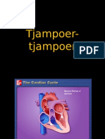 Tjampoer-tjampoer