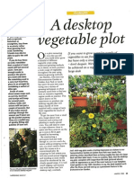 A Desktop Vegetable Plot