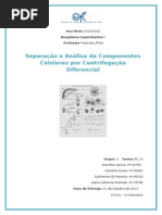 Centrifugação Final