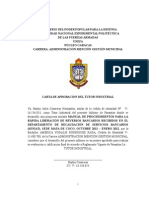 Informe de Pasantias Largas