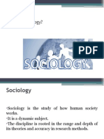 Lesson 1 What Is Sociology?