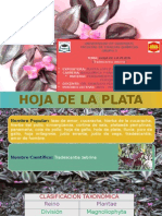 Hoja de La Plata