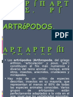 Artropodos 