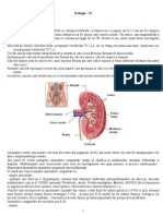 Curs Chirurgie Pediatrica