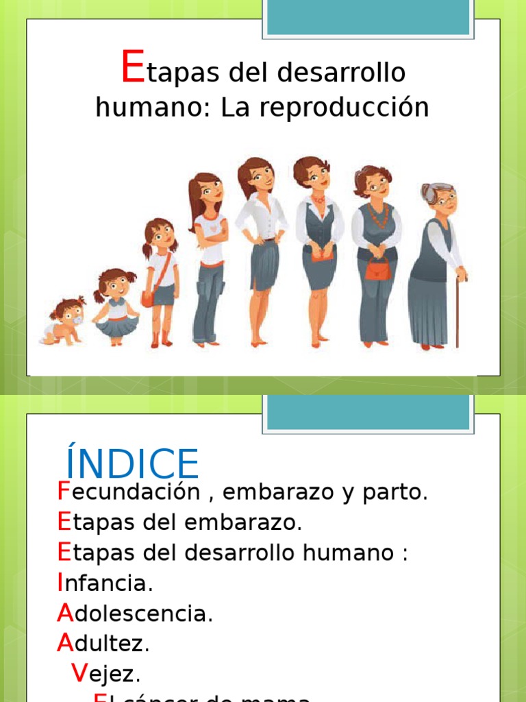ETAPAS DEL DESARROLLO HUMANO LA REPRODUCCIÓN