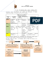 ANALISIS Caso Lesion