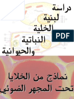 05 دراسة لبنية الخلية النباتية والحيوانية.pps