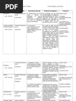 Rutina Nivel Medio Menor y Mayor