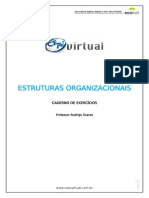 21 Estruturas Organizacionais Rodrigo PDF