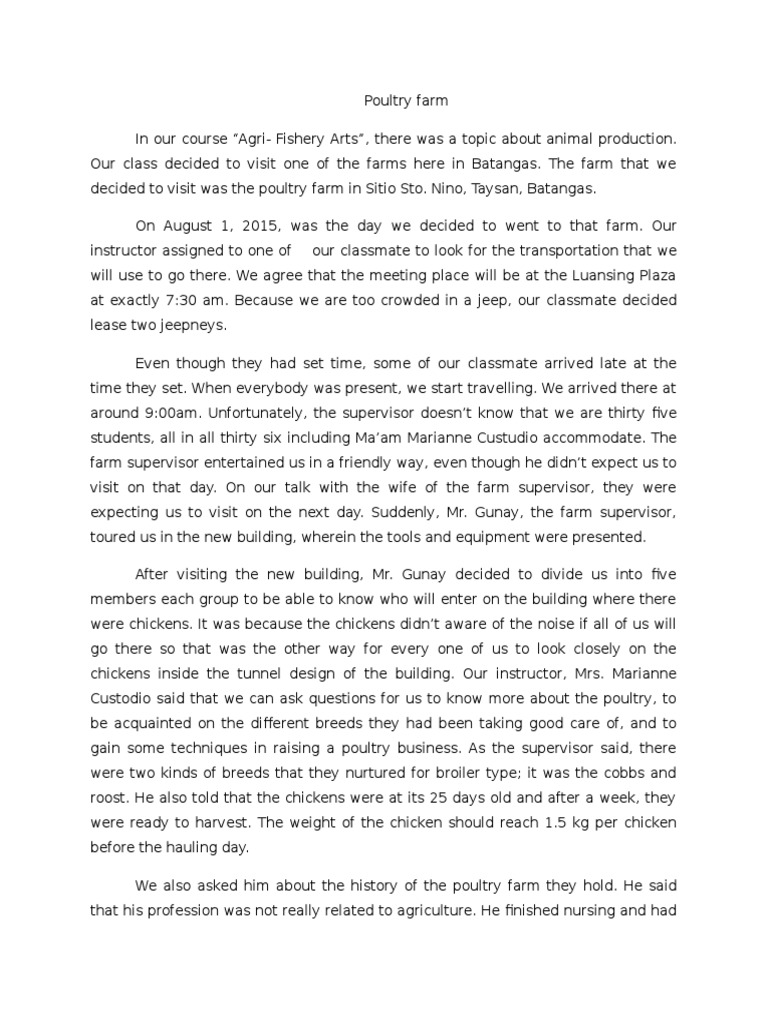 Chicken farming picture