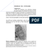 Organelas Del Citoplasma