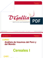 Cerales Sesion 14 PDF