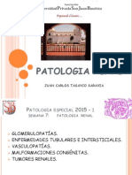 Nefrologia Patologia 