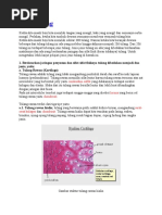 Download JARINGAN TULANG by zakky SN28549754 doc pdf