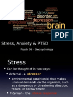 Stressanxiety PTSD Post