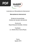 IMEI_U1_EA_MAGJ.docx
