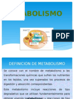 Metabolismo