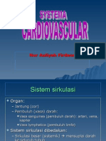 3-kardiovascular