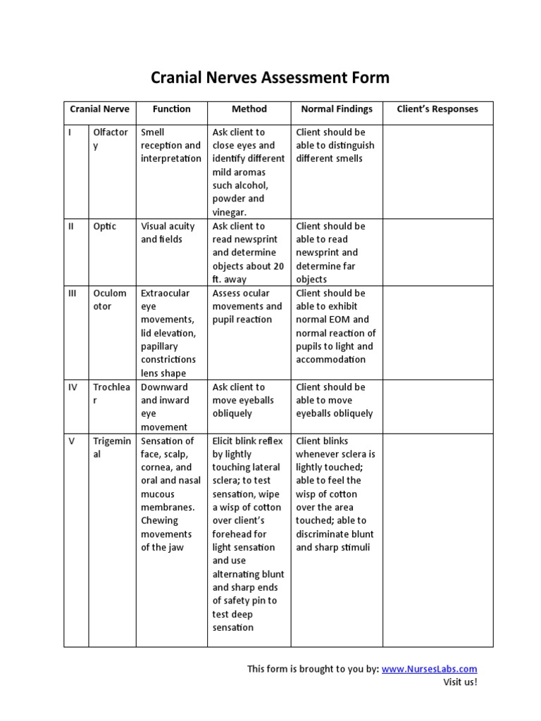 Cranial Nerve Assessment Guide | PDF | Senses | Anatomy