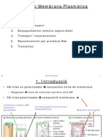 Membrana plasmàtica