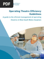 Operating Theatre Efficiency Guidelines