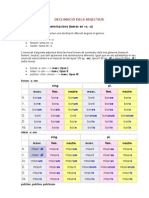 Declinació Dels Adjectius