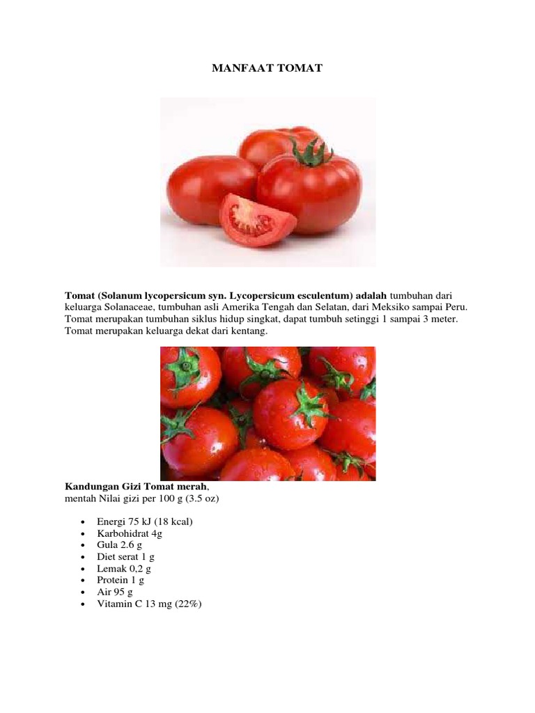 Manfaat Tomat Pdf