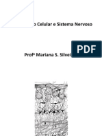 Diferenciao Celular No Sistema Nervoso Mariana Silveira