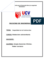 Monografia de Redaccion Univercitaria Seguridad en Construccion