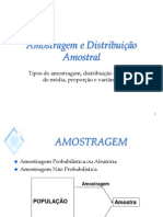 Slides - Amostra e Distrib