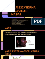 Nariz Externa y Cavidad Nasal (1)