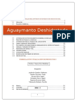Formulacion y Evaluacion de proyectos Aguaymanto Deshidratado