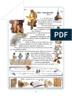 2 pag 24 - 29 rom.pdf