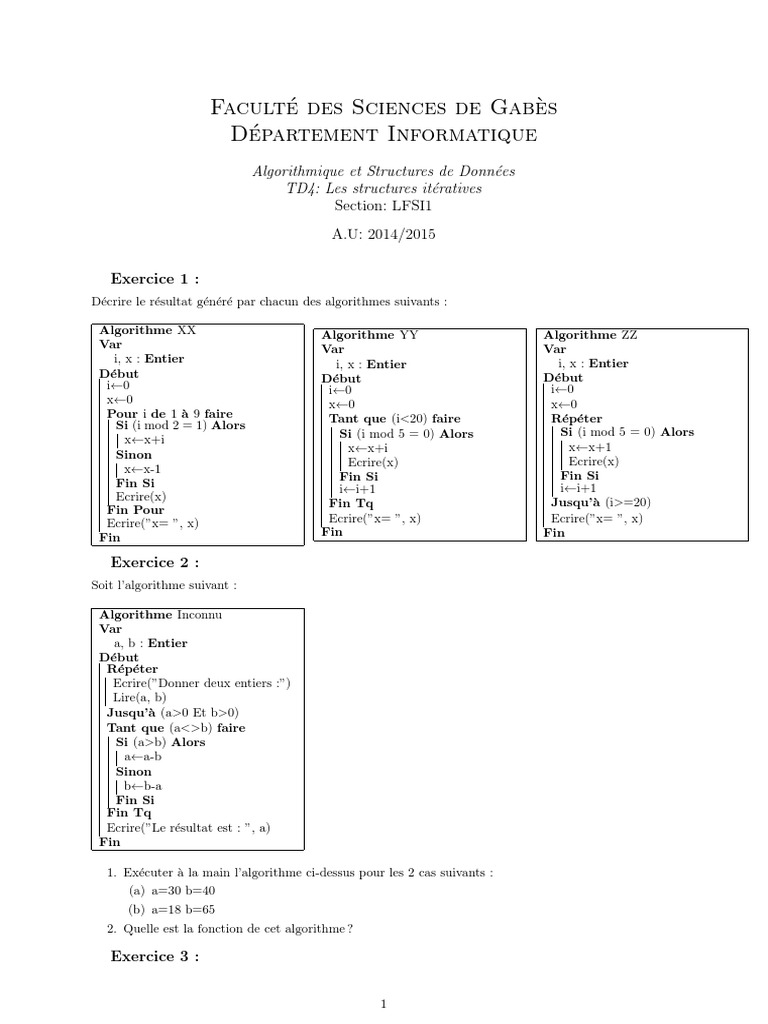 Algorithmes et Exercices d'Informatique | PDF | Entier naturel ...