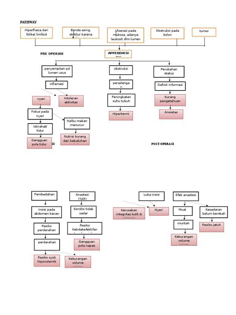 Pathway Apendisitis: Pre dan Post Operasi | PDF | Ilmu Sosial