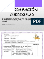 Programación Curricular