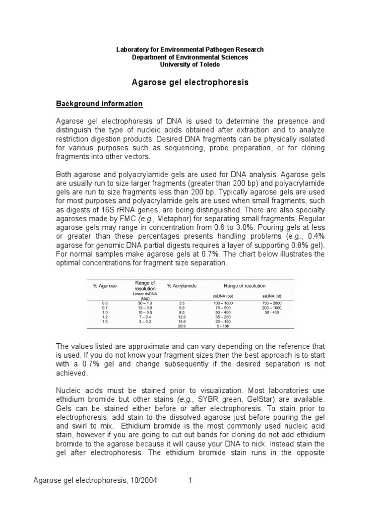 Agarose Gel Electrophoresis DNA | PDF | Gel Electrophoresis | Agarose ...