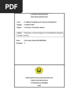Download LAPORAN PRAKTIKUM FUNGISIDA by Faiz Stania SN285702637 doc pdf