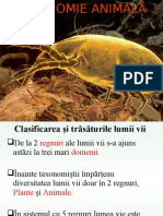 Arthropodes PT Taxonomie Curs